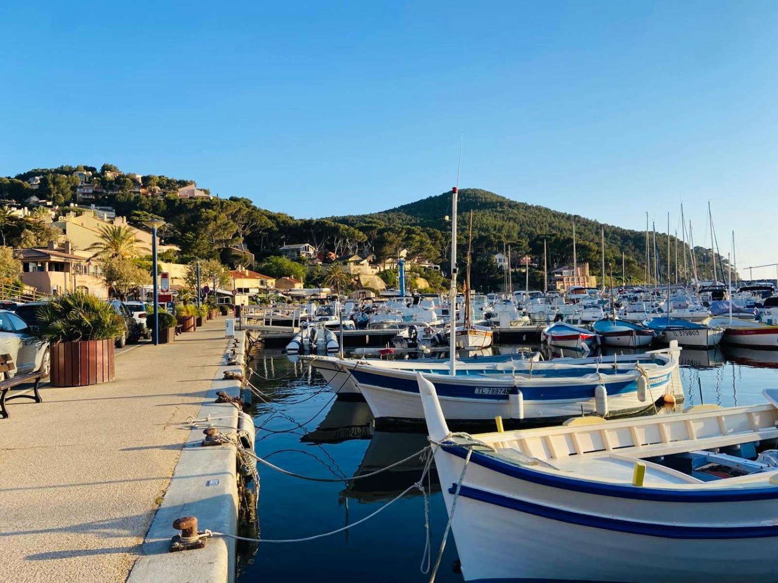 Studio Cosy En Bord De Mer 滨海圣西尔 外观 照片