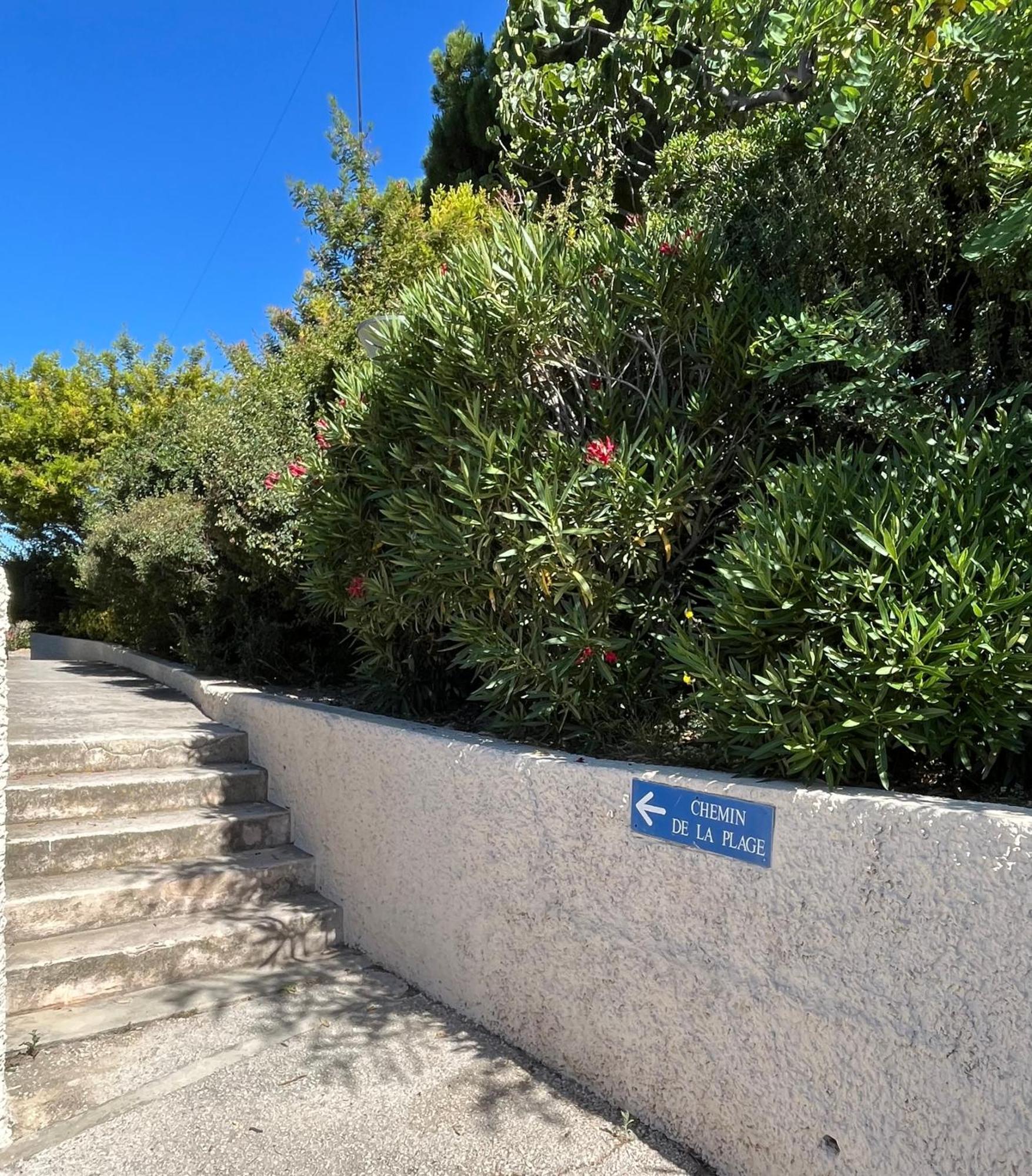 Studio Cosy En Bord De Mer 滨海圣西尔 外观 照片